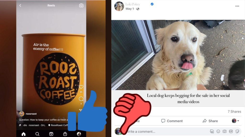 There's a thumbs up next to a cool coffee video still and a thumbs down next to a dog post