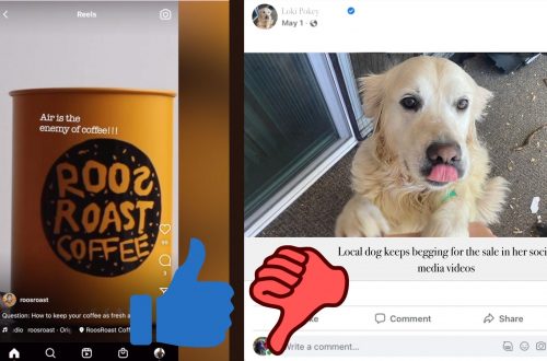 There's a thumbs up next to a cool coffee video still and a thumbs down next to a dog post