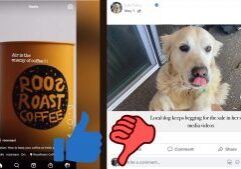 There's a thumbs up next to a cool coffee video still and a thumbs down next to a dog post